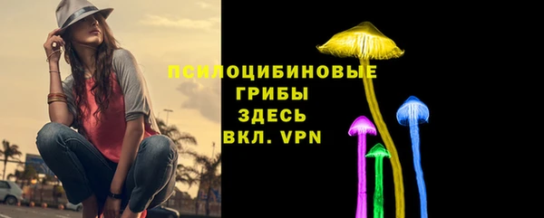 твердый Нязепетровск