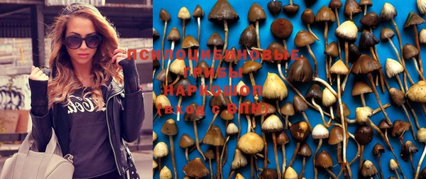 твердый Нязепетровск