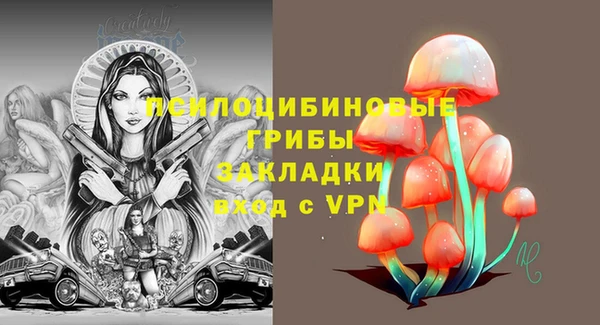 твердый Нязепетровск