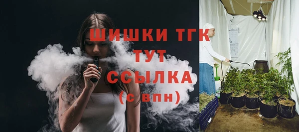 молекула духа Лысьва